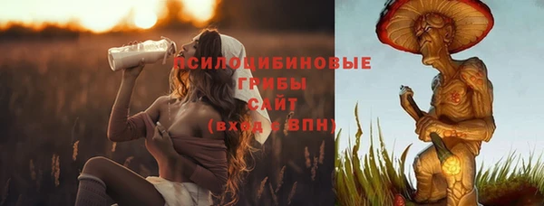 спиды Алексин