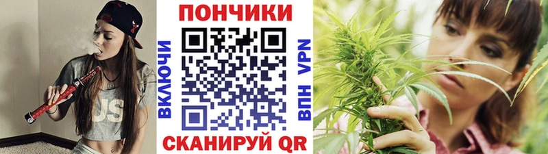 Бошки Шишки марихуана  Купить  Петрозаводск 